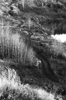 no name ( ID=2569226 ); No comments