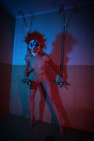 no name ( ID=2569231 ); No comments