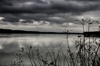 Над тъмните води на река Дунав; No comments