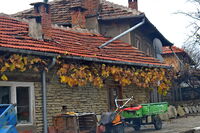 no name ( ID=2569233 ); No comments