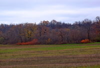 no name ( ID=2569234 ); No comments