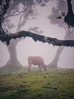 no name ( ID=2569243 ); comments:1