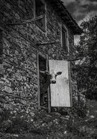 Заповядайте, влезте!; Коментари:4