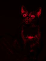 me and the devil; No comments