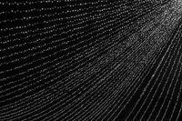 без име ( ID=2569270 ); Коментари:2