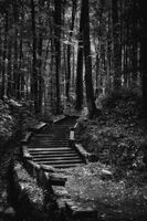 без име ( ID=2569290 ); Коментари:2