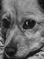 Тъга; No comments