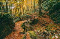 no name ( ID=2569319 ); comments:2