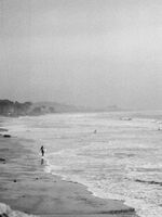 Monterey; Коментари:2