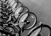 no name ( ID=2569326 ); comments:1