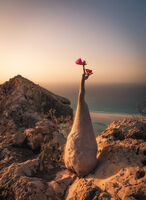 Пустинна роза; Коментари:5