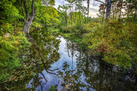 Coxing Kill; comments:2