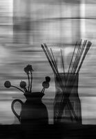 без име ( ID=2569340 ); Коментари:5