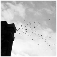 no name ( ID=2569387 ); comments:1