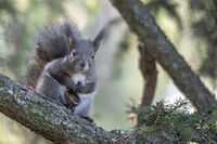 no name ( ID=2569399 ); comments:1