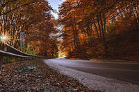 без име ( ID=2569400 ); Няма коментари