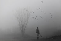 no name ( ID=2569413 ); comments:3