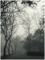 no name ( ID=2569422 ); comments:12