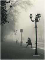 no name ( ID=2569423 ); comments:7