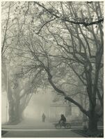 no name ( ID=2569432 ); comments:1