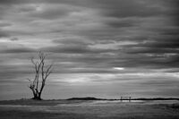 ...; Коментари:5