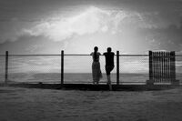 no name ( ID=2569459 ); comments:26