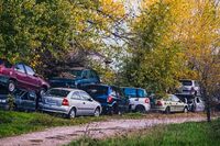 Назад към природата; comments:1