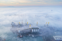 Кранове спускат мъгла; Коментари:8