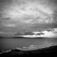 зимно море; Коментари:7