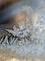 ***; Коментари:3