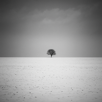 ..; Коментари:7