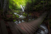 без име ( ID=2569505 ); Няма коментари