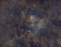 Ирис Небула; Коментари:2