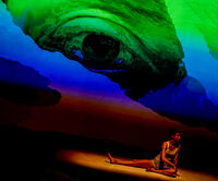 сън; Няма коментари