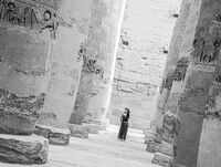 тя; Няма коментари