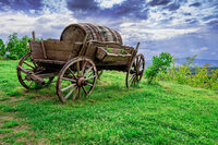 no name ( ID=2569546 ); comments:1