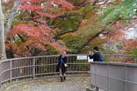 Любов, оцветена от есента; comments:3