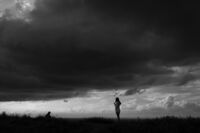 Онези залези; Коментари:2