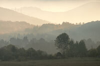 no name ( ID=2569574 ); comments:2