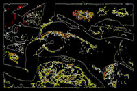 Намигване към Модиляни; comments:5