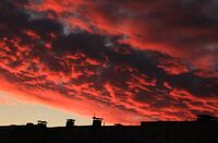 no name ( ID=2569630 ); No comments