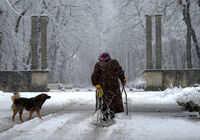 no name ( ID=2569647 ); comments:1