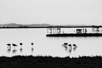 без име ( ID=2569684 ); Коментари:3