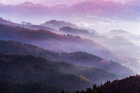 Надиплени Родопи; Коментари:4