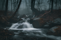 no name ( ID=2569775 ); comments:4