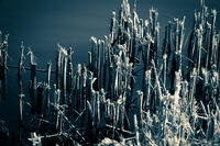 Синева; No comments