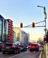 Градски обитатели; comments:1