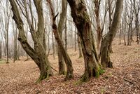 no name ( ID=2569783 ); comments:5