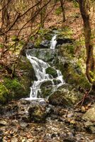 no name ( ID=2569785 ); No comments