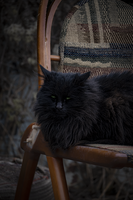 no name ( ID=2569810 ); No comments